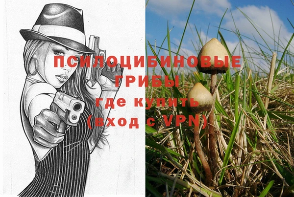 spice Богородицк