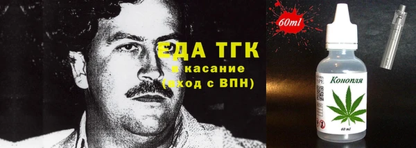 spice Богородицк