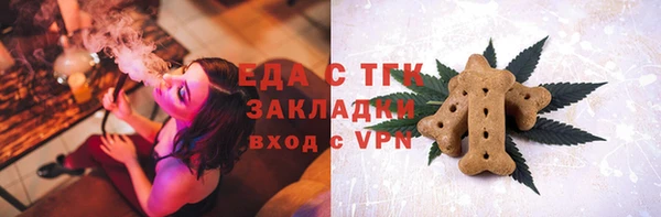 spice Богородицк