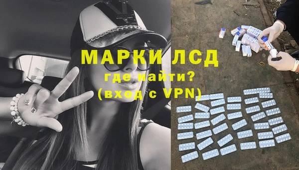 spice Богородицк
