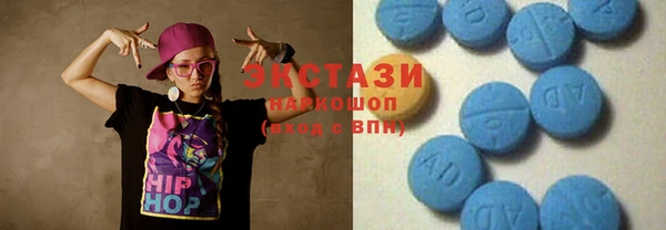 spice Богородицк