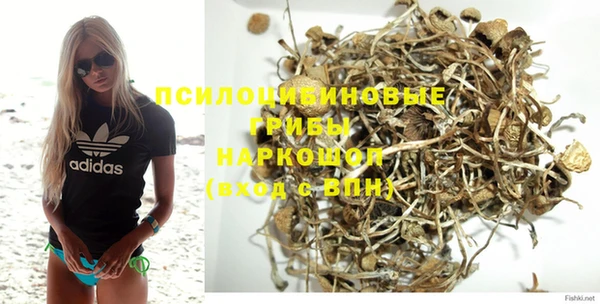 тгк Беломорск